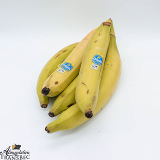 Carton Banane Plantin