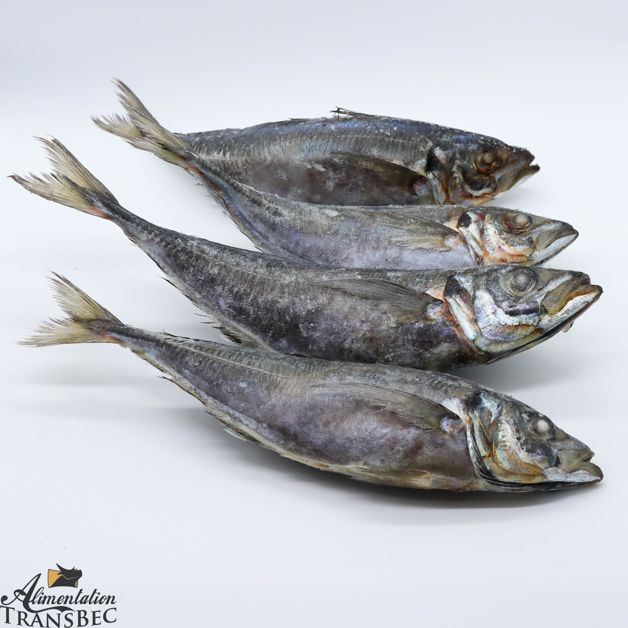 Poisson Thomson | Alimentation Transbec