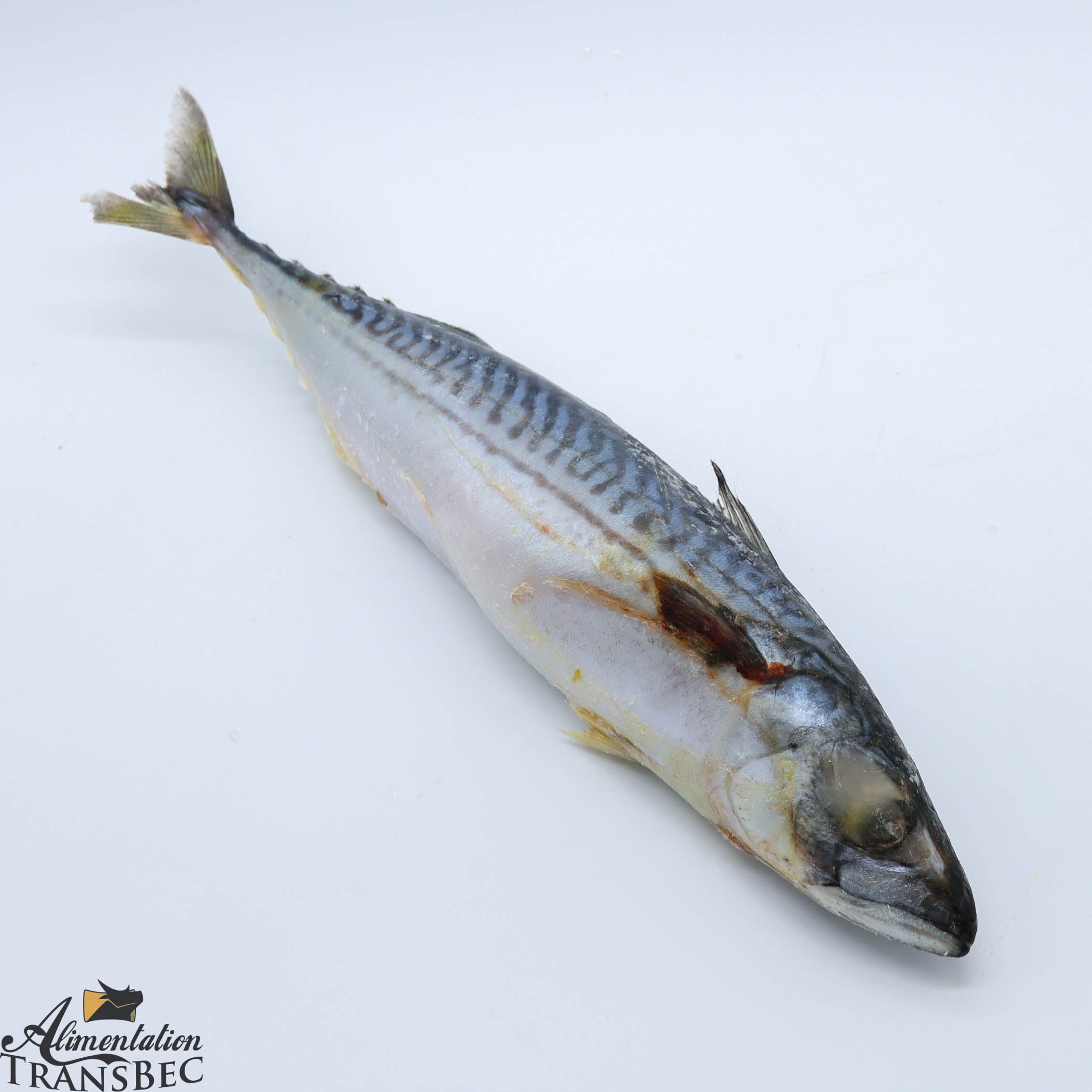 Poisson | Alimentation Transbec