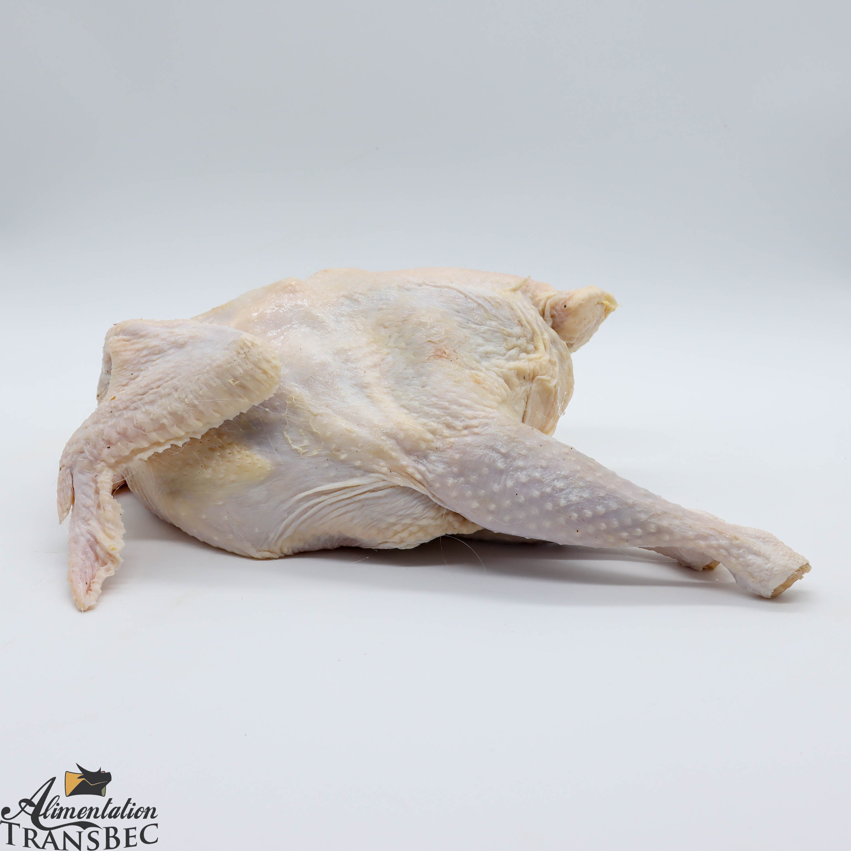 *Carton* Poulet Dur | Alimentation Transbec